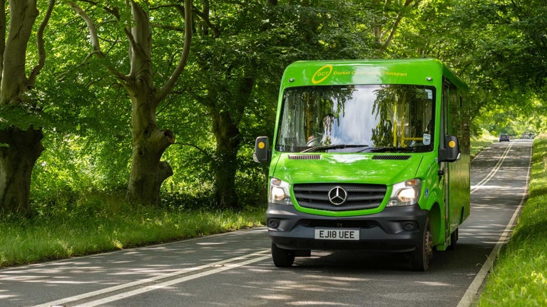 A green bus driving along a road lined on either side with beech trees